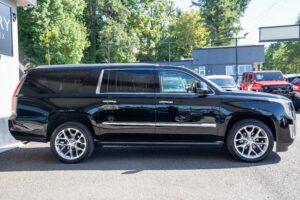 2018-Cadillac-ESCALADE ESV-Luxury-Auto-Plex-6