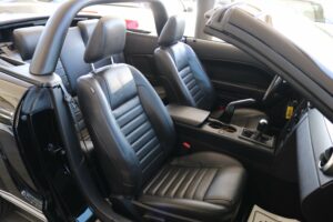 2009-Ford-MUSTANG-Luxury-Auto-Plex-22