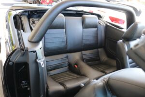 2009-Ford-MUSTANG-Luxury-Auto-Plex-18