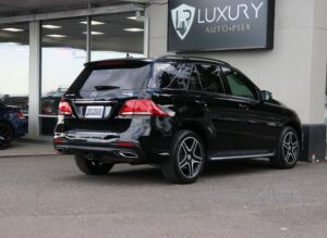 2016-Mercedes-Benz-GLE-Luxury-Auto-Plex-5