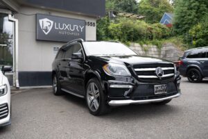2015-Mercedes-Benz-GL-CLASS-Luxury-Auto-Plex-2