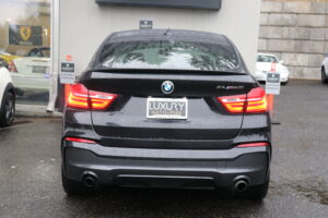 2017-BMW-X4-Luxury-Auto-Plex-16