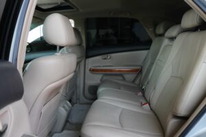 2008-Lexus-RX-Luxury-Auto-Plex-30