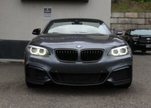 2020-BMW-2 SERIES-Luxury-Auto-Plex-2