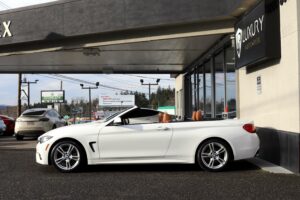 2018-BMW-4 SERIES-Luxury-Auto-Plex-7